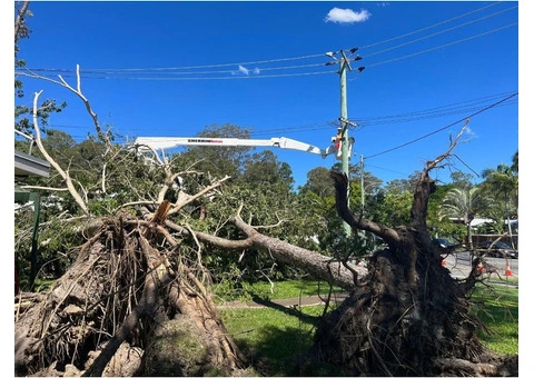 Tree Cutting Service