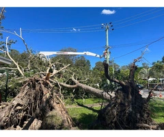 Tree Cutting Service