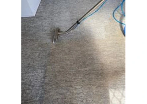 Leading Commercial Carpet Cleaning Company in West End