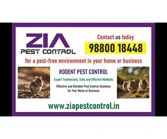 Rodent control services | Service price starts from Rs.999/- only | 1864