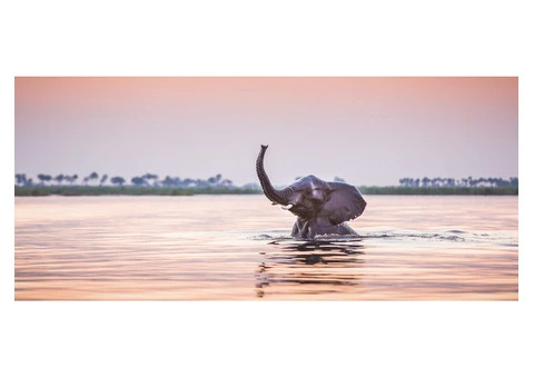 Safari Guru - African Safari Travel Specialists in Australia - 4/8