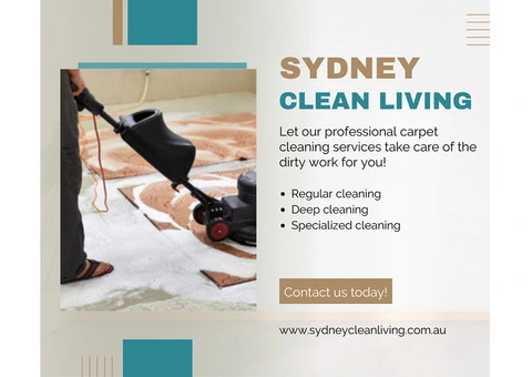 Top Rated Carpet Cleaner Pagewood