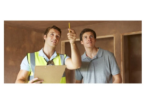 Have you checked for termites lately? - 2/7