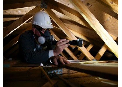 Have you checked for termites lately? - 4/7