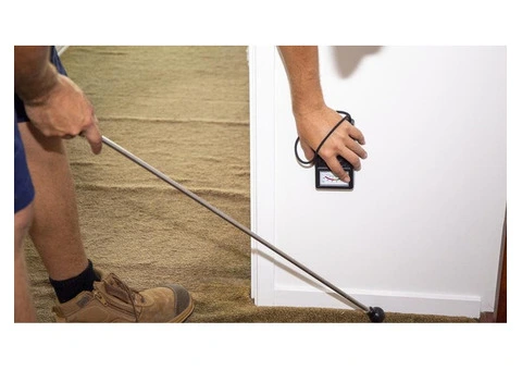 Have you checked for termites lately? - 6/7