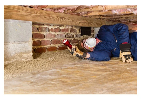 Have you checked for termites lately? - 7/7