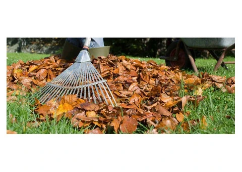 Top Notch NDIS Gardening and Yard Maintenance in Gold Coast by Experts