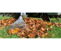 Top Notch NDIS Gardening and Yard Maintenance in Gold Coast by Experts