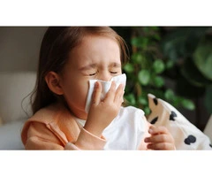 Learn How Early Learning Centre Byford Deal With Allergies