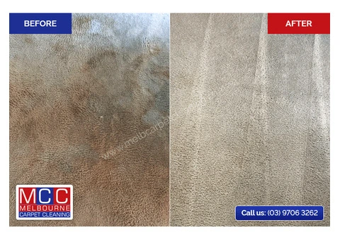 Expert Steam Cleaning Services to Help Revive Your Carpets