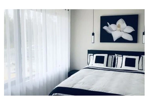 Looking to flaunt stylish sheer curtains in your home? - 2/3