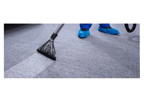 Expert Carpet Steam Cleaning Services in Melbourne to Get Rid of Tough Stains