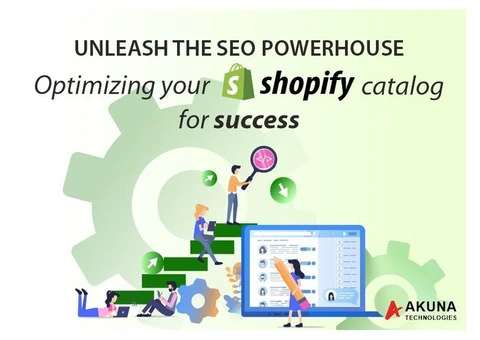 All you need to optimize your shopify catalog for success