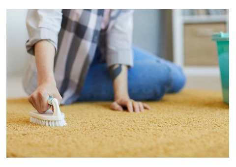 Eliminate Stubborn Carpet Stains with Our Specialist Removal Services in Melbourne