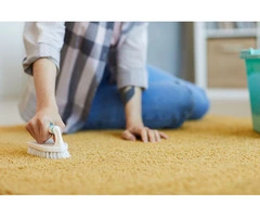 Eliminate Stubborn Carpet Stains with Our Specialist Removal Services in Melbourne