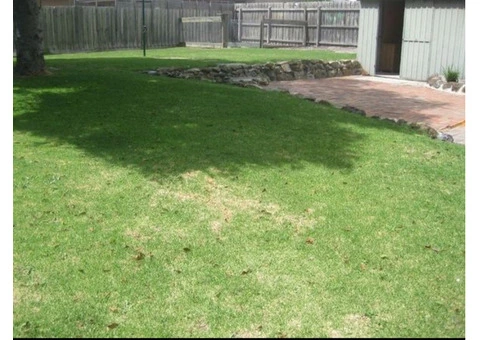 House for rent in Frankston VIC - 7/7