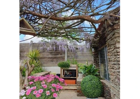 Large Boxwood Topiary Ball UV Resistant 44cm - 3/3