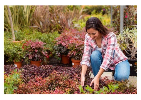 Willing To Give Your Garden A Healthy Boost?