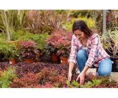 Willing To Give Your Garden A Healthy Boost?