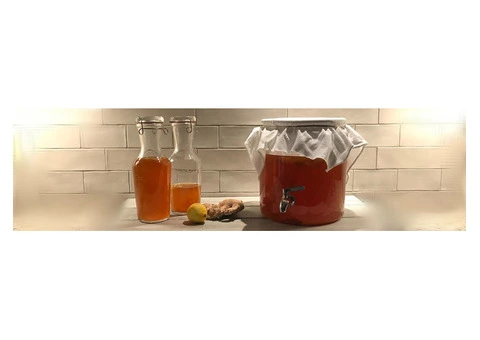 Cayo's Kombucha