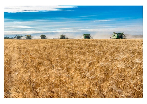 Comprehensive Solutions for Agronomy Jobs Across New South Wales and Western Australia