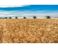 Comprehensive Solutions for Agronomy Jobs Across New South Wales and Western Australia