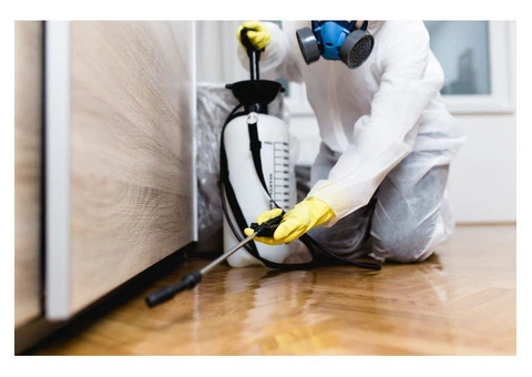 Book Quality Pest Control Services in Baulkham Hills Today!