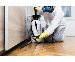 Book Quality Pest Control Services in Baulkham Hills Today!
