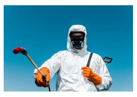 Commercial Pest Control Brisbane by Best Pest Control Brisbane