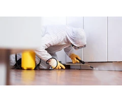 Residential Pest Control Canberra: Swift & Reliable Pest Solutions for Your Home in Canberra