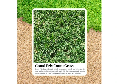 Enhance Your Landscape with Couch Turf