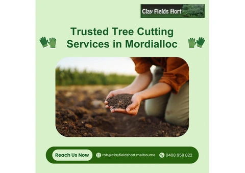 Sandringham's Trusted Tree Cutting Services for Healthier Gardens