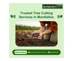 Sandringham's Trusted Tree Cutting Services for Healthier Gardens