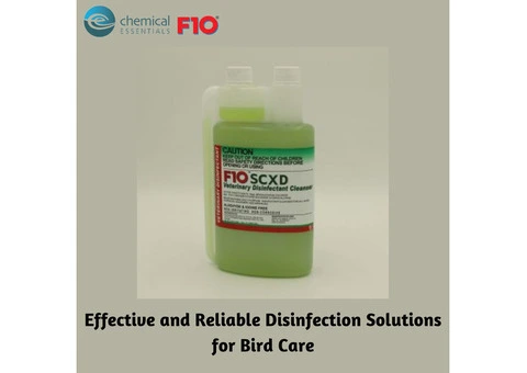 Effective and Reliable Disinfection Solutions for Bird Care