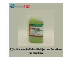 Effective and Reliable Disinfection Solutions for Bird Care