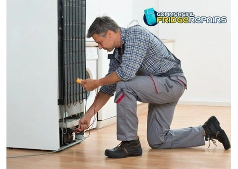 Same-day Fridge Repair Services in Kingswood