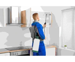 Affordable Services for Pest Control Brighton | Blink Pest Control