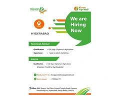 Bio-Stimulants to Enhance Plant Growth and Crop Yield Naturally