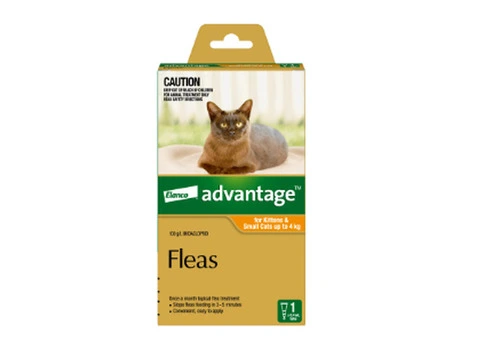 Advantage: Cat & Dog Flea Control