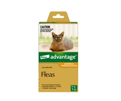 Advantage: Cat & Dog Flea Control