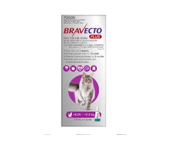 Bravecto Plus for Cats | Flea, Tick, Heartworm & Intestinal Parasites