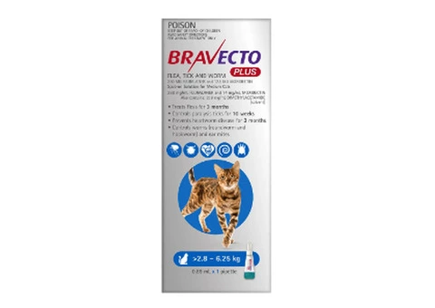 Bravecto Plus for Cats | Flea, Tick, Heartworm & Intestinal Parasites - 3/3