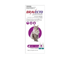 Bravecto spot-on flea and tick treatment for cats