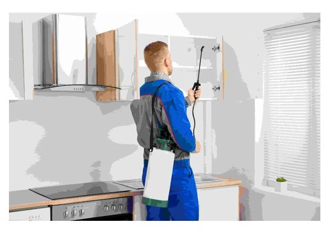 Reliable Pest Control in North Lakes | Magic Pest Control