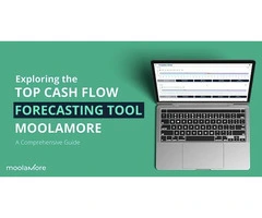 Moolamore Financial Forecasting for Small Businesses