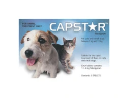 Capstar Flea Tablets for Dogs and Cats Online