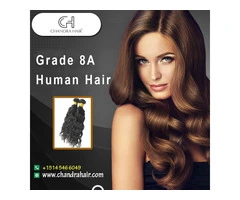 Order Grade 8A Human Hair Online | Chandra Hair