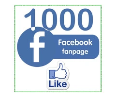 Why You Should Buy 1000 Facebook Likes?