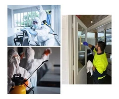 Safe and Effective Professional Mould Removal in Melbourne