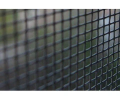 window screens adelaide